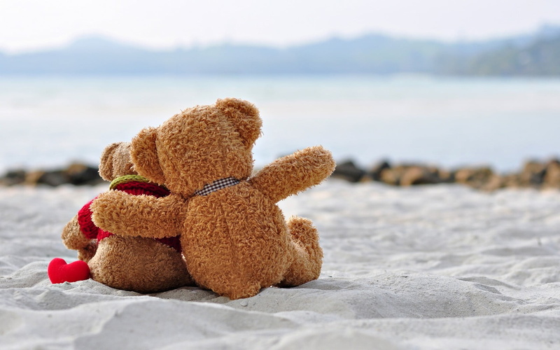 teddy, romantic, plush, stuffed toy, teddy bear, creativity, close-up, toy animal, winter, childhood, Love, land, focus on foreground, toys, day, toy, representation