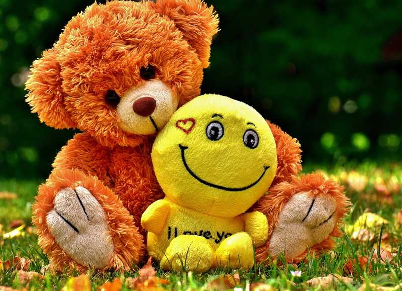 animal themes, smiley, mammal, fabric, representation, stuffed toy, teddy, bears, 5K, field, no people, nature, stuffed animal, bear, animal, two, love