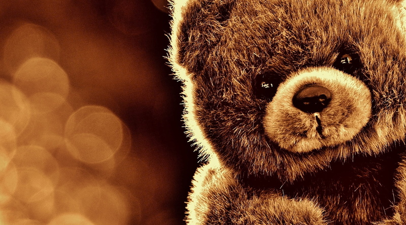 domestic animals, stuffed animal, teddy, toy, furry teddy bear, animal body part, looking at camera, indoors, animal wildlife, brown bear, animal head