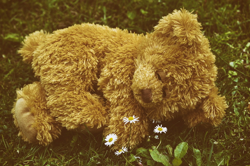 animal representation, meadow, 4K, no people, sleep, field, mammal, domestic, sweet, nature, funny, plant, outdoors, animal, land, vertebrate, grass, children