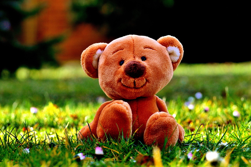 food, mushroom, growth, freshness, nature, field, toys, teddy, cute, land, grass, photo, day, selective focus, creativity, plush, 5K, soft toy, representation