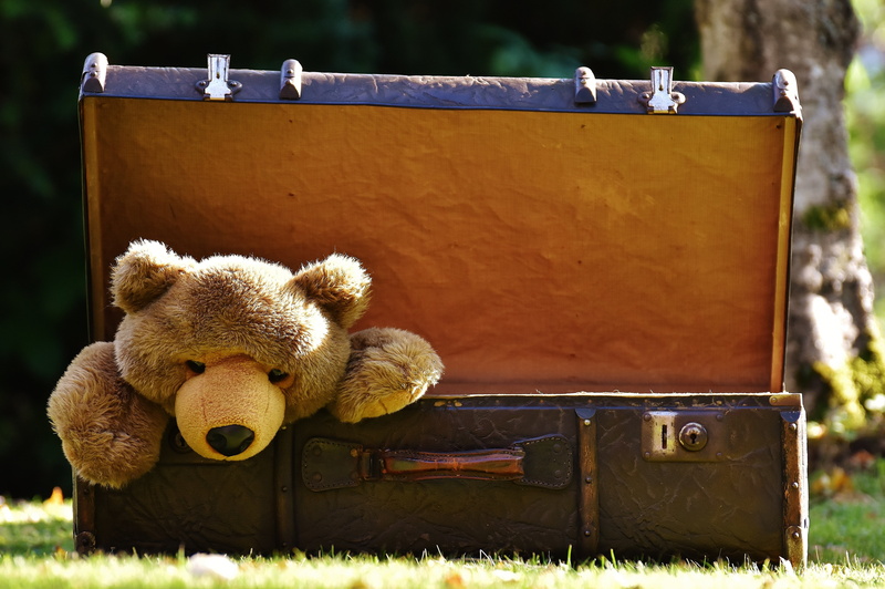 stuffed toy, box, old suitcase, stuffed animal, outdoors, toys, still life, focus on foreground, suitcase, absence, container, bear, soft toy, curious