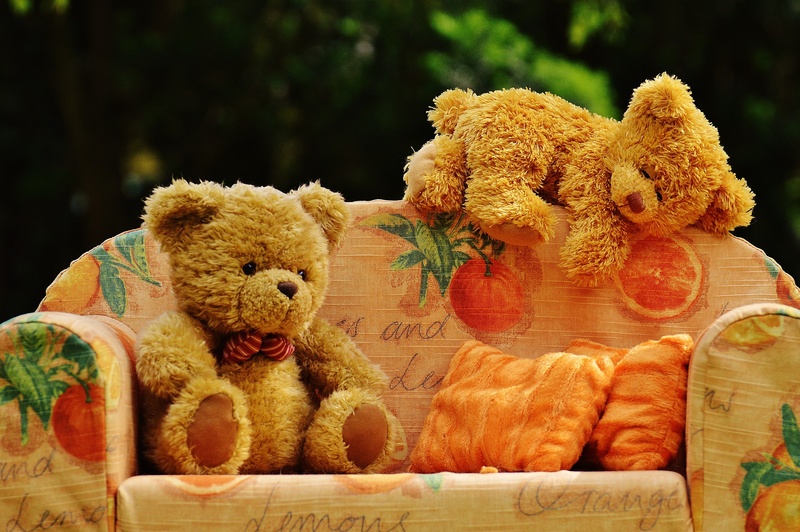 still life, teddy, toy animal, toy, gift, stuffed, stuffed toy, play, representation, cute, sofa, brown, creativity, no people, bear, indoors, chill out