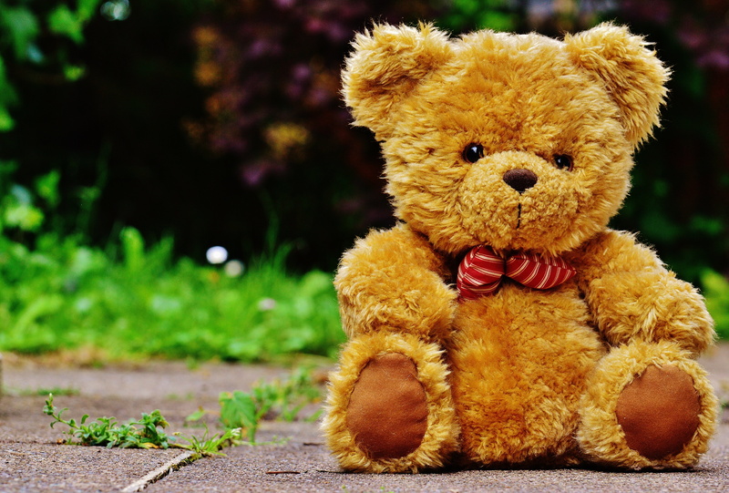fabric, representation, soft toy, fluffy, close-up, children toys, day, toys, toy, gray, small, gift, pavement, nature, focus on foreground, concrete, teddy