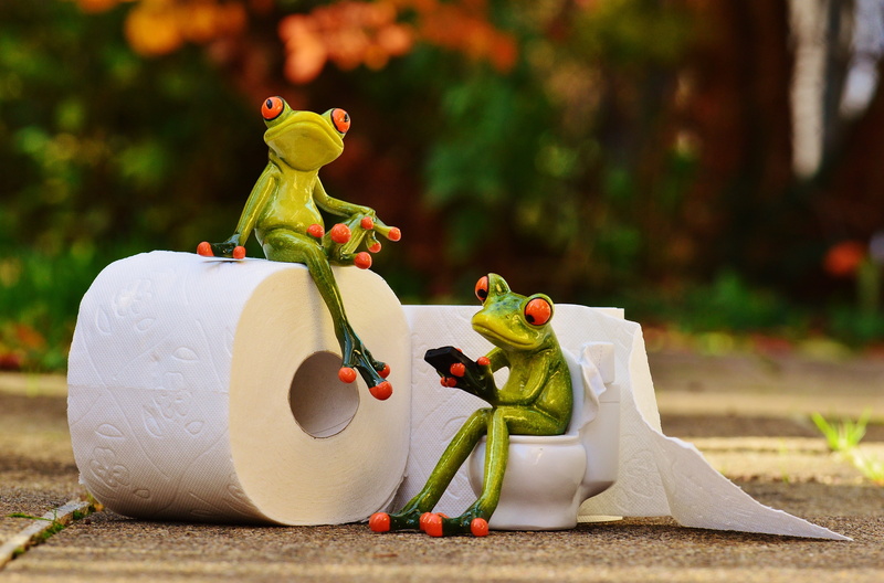 sitting, people, session, outdoors, wc, nature, close-up, plant, green, childhood, toy, cute, frog, full length, representation, toilet, male likeness