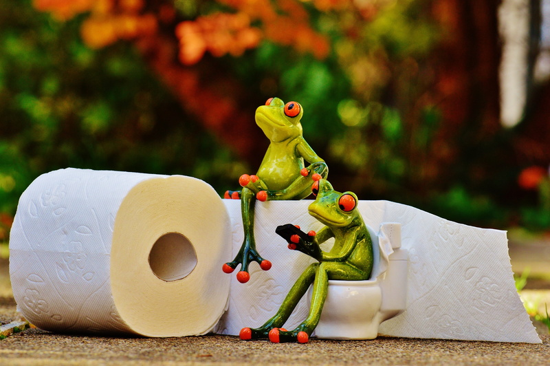 male likeness, mobile phone, papers, wc, figurine, two, female likeness, frog, loo, paper, funny, representation, toy, animal, toilet, focus on foreground