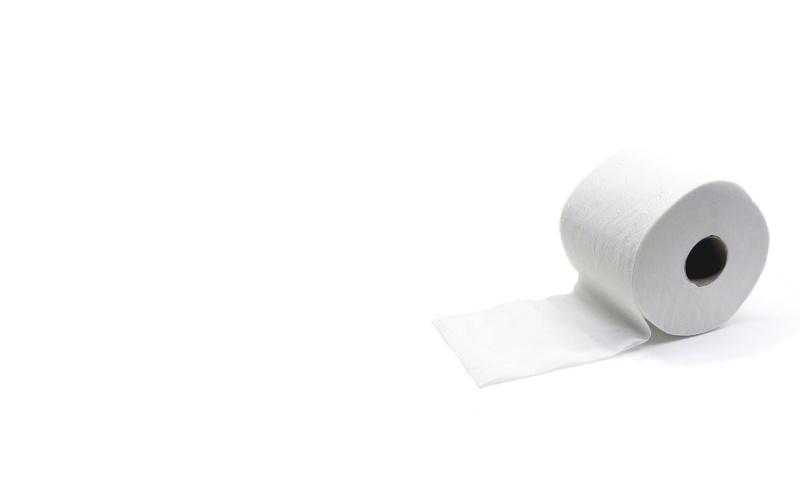 white, backgrounds, cut out, toilet Paper, high angle view, soft, still life, two objects, rolled Up, white Background, home, 2K, domestic Life, no People