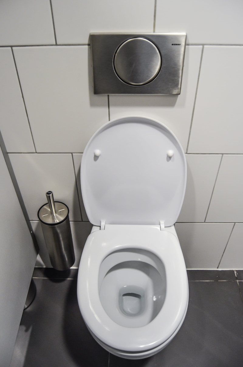 white color, ceramic, domestic bathroom, toilet, indoors, home interior, high angle view, toilet bowl, lid, modern, 4K, home, flooring, opened, flushing toilet