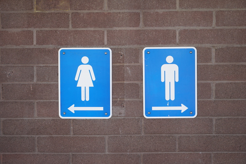 bathroom, concrete, disabled access, company, public building, man, stone, restroom sign, information sign, wheelchair, brick, physical impairment, road