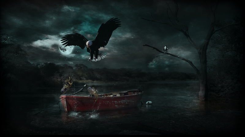 boat, eagle, photo, adobe photoshop, photoshop, manipulation, nature, american, photo manipulation, landscape, 2K, adobe, boots