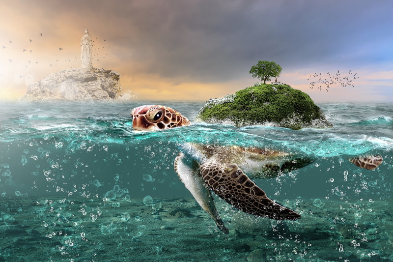 cloud - sky, animal, digital composite, beauty in nature, 5K, outdoors, animal themes, waterfront, one animal, water, Tortoise, sky, land, Mystic, animals in the wild