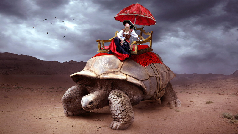 4K, photoshop art, carriage, fantasy art, tortoise, photo manipulation, photoshop, girl, photography manipulation, desert, caravan