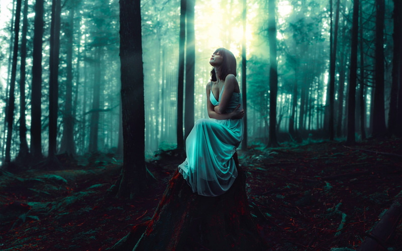 tranquility, adult, one person, brunette, standing, white dress, lifestyles, women, sitting, sunlight, moss, fashion, closed eyes, dark, tree, dress, model