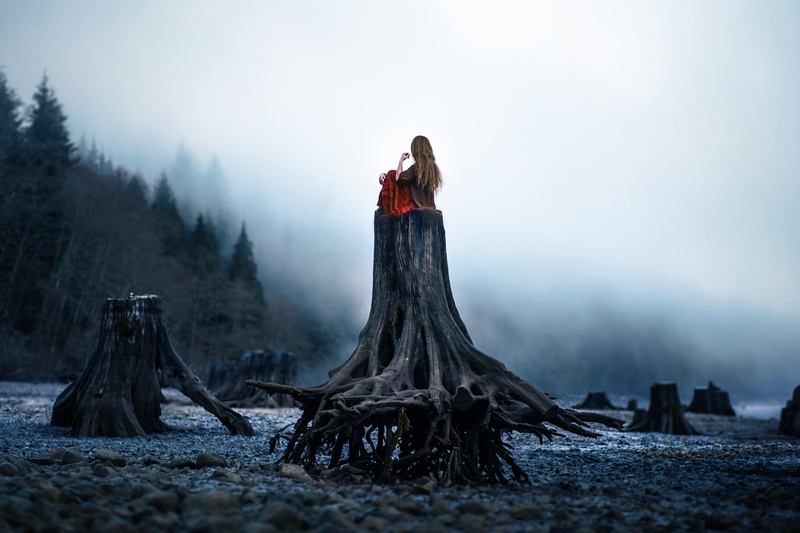 trunk, women, woman, one person, tree stump, land, forest, cold temperature, nature, sitting, beautiful woman, celebration, 1080P, women outdoors, wood