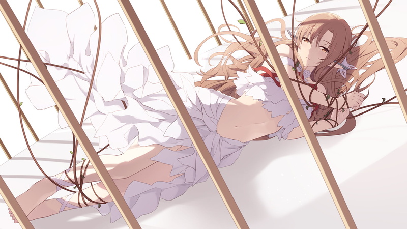 pointy ears, drawing, Sword Art Online, 1080P, belly, 2D, lying on side, artwork, anime, cages, anime girls, Cait, looking at viewer, digital art, long hair