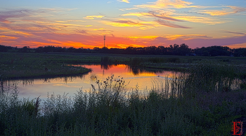 sky, 4K, Lawrence, growth, tranquility, tranquil scene, orange color, cloud - sky, United States, Scenery, Swimming, plant, beauty in nature, grass, water