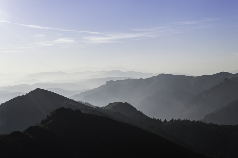 forest, summer, tranquility, over, mountain range, tree, tranquil scene, 5K, mountain, morning, no people, cloud - sky, environment, landscape, hill, fog