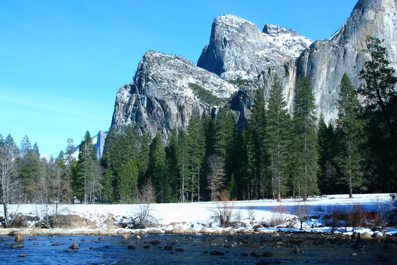 nature, park, water, adventure, beauty in nature, yosemite, white, stone, plant, scenics - nature, state of california, day, coverage, river, national