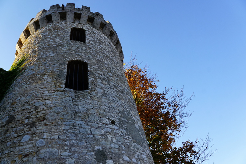 fish, building exterior, nature, maple, outdoor, sunny day, romantic, rest, outdoors, building, honing castle, tower, recovery, bergsee, forest, fall foliage