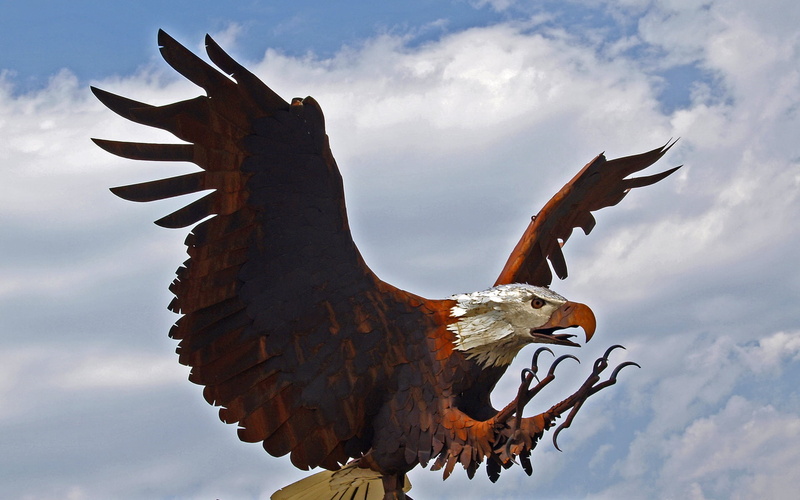 outdoors, day, representation, landing, bird, animal wildlife, nature, iron, animals in the wild, weathered, chicken - bird, animal representation, animal