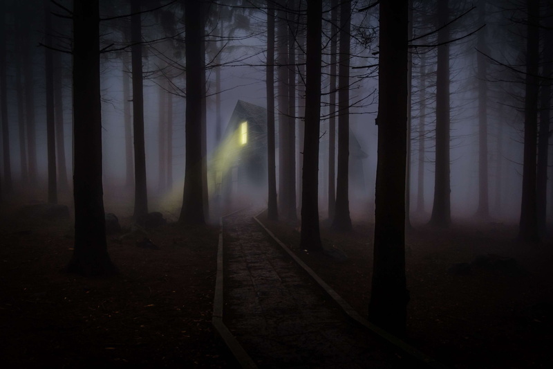 forest, royalty  images, house, mystery, spooky, night, haunted, window, 4K, trees, foggy, dark, fairy tale, photo editing, light beam, mist, fantasy