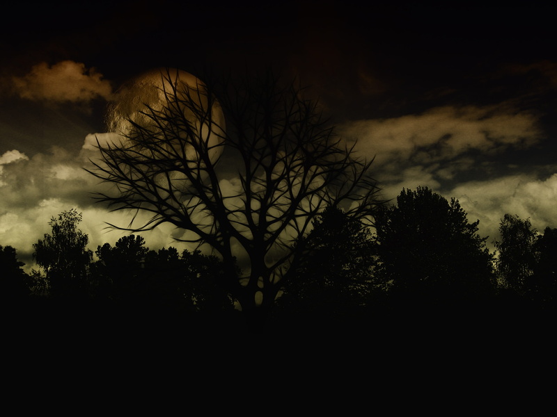 dusk, Tree, spooky, gloomy, tranquility, tranquil scene, cloud - sky, photoshop, Dark, tree, growth, clouds, mystical, non-urban scene, dark, silhouette