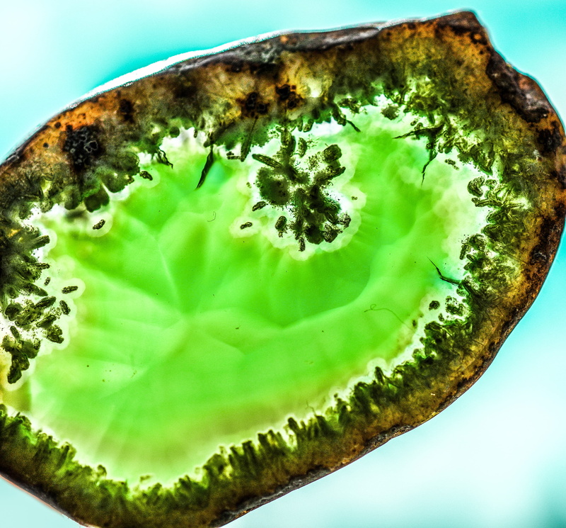 food and drink, green, natural, single object, nature, plant, transparent, blue background, spiritual, green Color, image, macro, birthstone, decoration