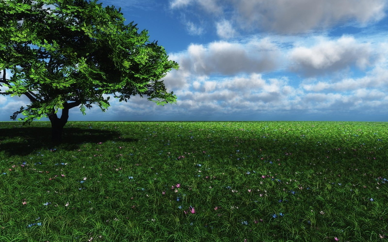 digital, cg, manipulation, images, trees, landscapes, spring, sky, 1080P, nature, color, flowers, seasons, fields, art, clouds