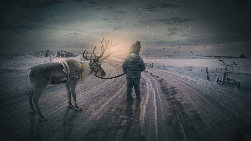 small child, mammal, vertebrate, outdoors, child, landscape, transportation, pets, fantasy, rear view, wintry, image manipulation, 1080P, road, nature