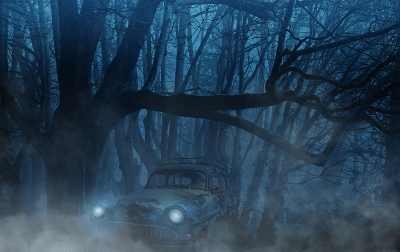 fog, mode of transportation, forest, night, darkness, abendstimmung, tree, dark, tranquility, transportation, vehicle, bare tree, taken, edited, opel rekord olympia