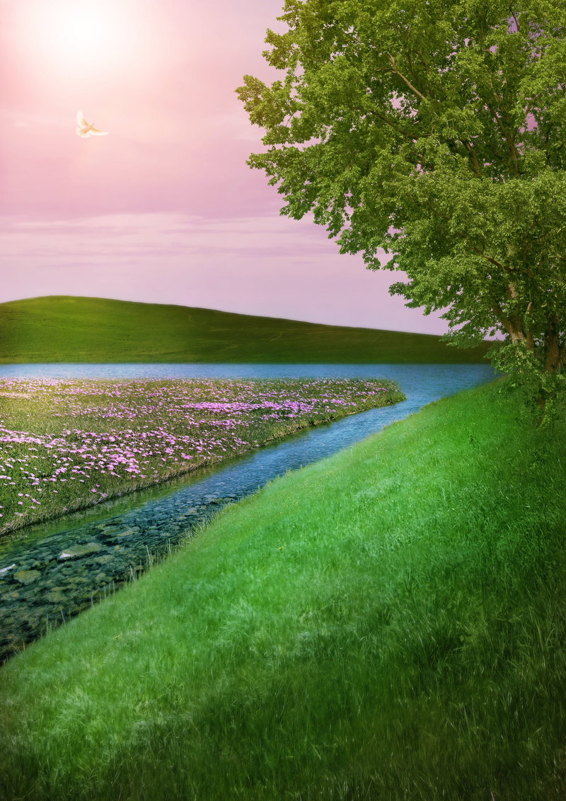 bach, rural scene, empty, landscape, beauty in nature, tranquility, mood, plant, clouds, greeting card, no people, lake, sunlight, tranquil scene, sky