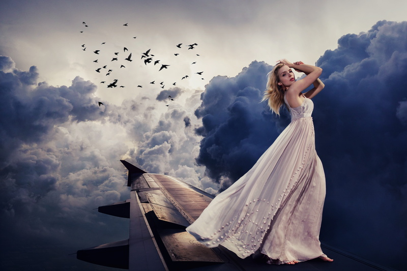 white dress, wing, one person, blond, dramatic, aircraft, flowing dress, beautiful, cloud - sky, fashion, freedom, nature, fly, animal wildlife, composing