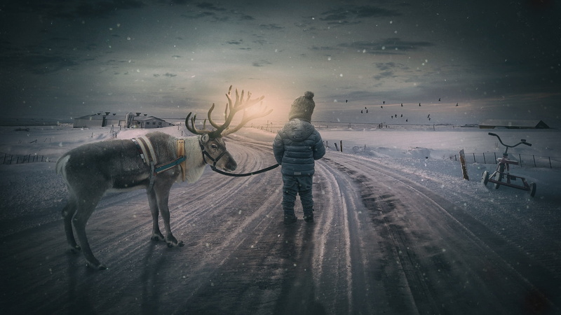 tricycle, abendstimmung, snow, men, nature, coat, moose, horse, small child, sky, domestic animals, person, landscape, boy, wintry, rear view, composing