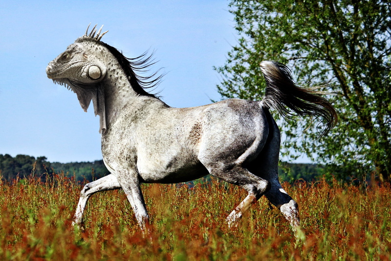 outdoors, herbivorous, domestic, side view, white, Photoshop, vertebrate, mare, animal themes, standing, meadow, dragons head, dragon, body, magic, tree