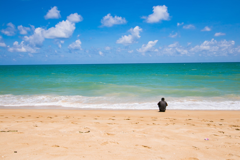 beautiful, nature landscape, season, 5K, outdoors, one animal, andaman sea, bay, white, scenics - nature, ocean, summer, nature, colorful, male
