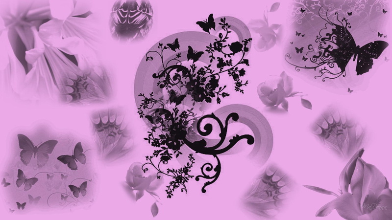 widescreen, butterfly, floral, flowers, 1080P, abstract, 3d and abstract, black, pink, firefox persona, butterflies