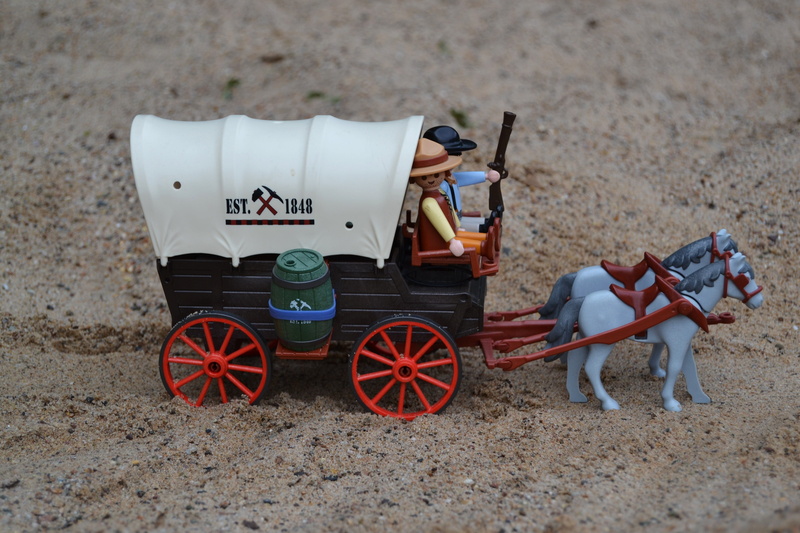 sand, horse cart, land vehicle, wheel, cart, mode of transportation, transportation, day, supply, beach, western, outdoors, horses, prospector, creativity