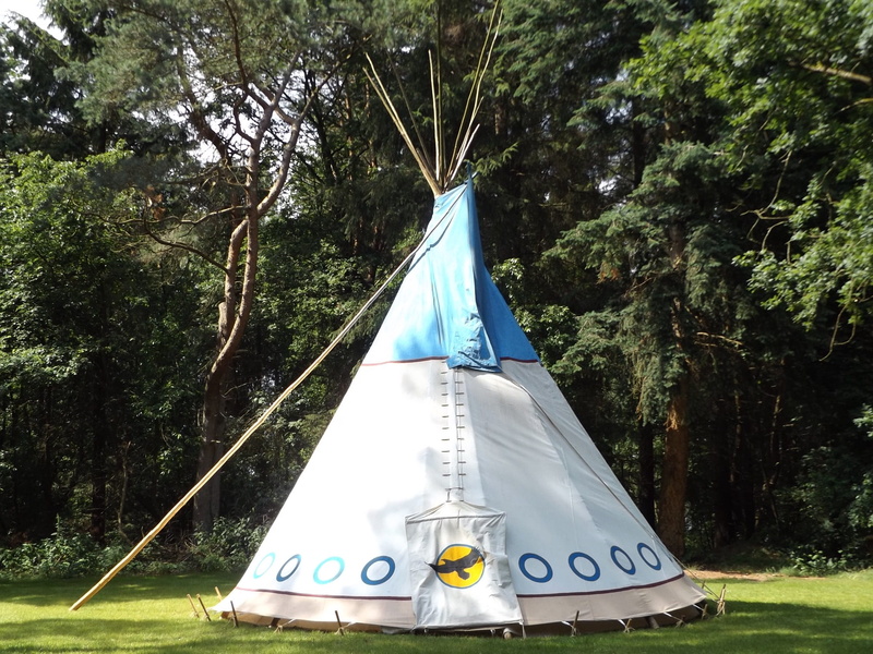 family, white, Nature, no people, waldheim, tree, green, field, trees, teepee, textile, blue, indians, land, group, communication, triangle shape, outdoors
