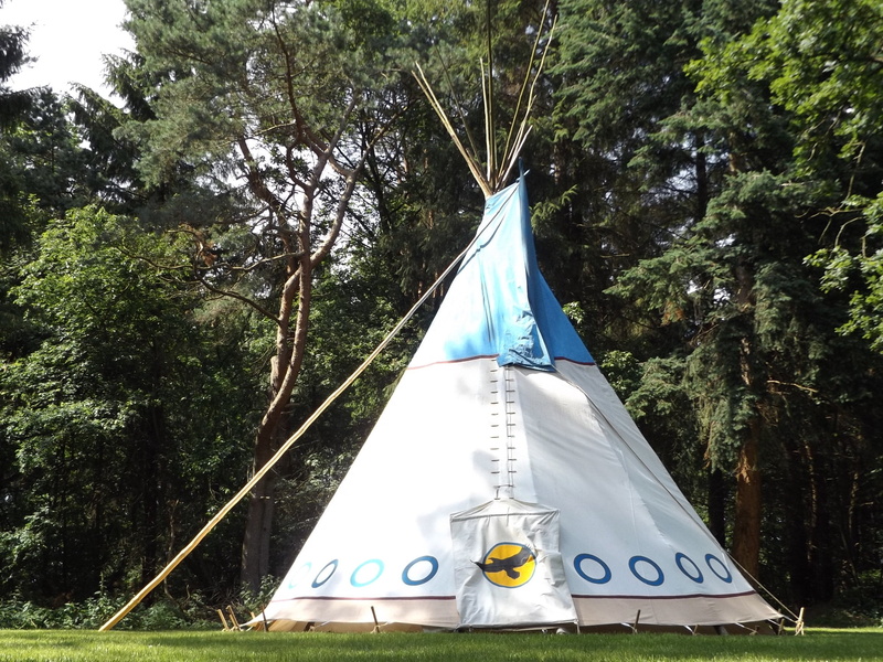 indians, wilderness, no people, tipi, summer, architecture, camping, transportation, meadow, growth, tent, tree, grass, shape, nature, pole, family, group