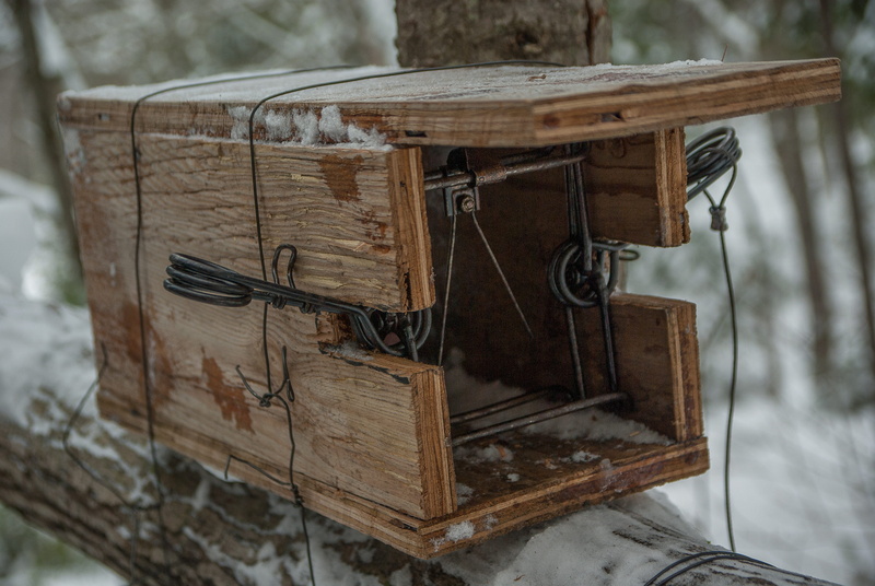 deterioration, game, no people, day, brown, antique, cold temperature, old, nature, music, close-up, tree, focus on foreground, table, land, trap, hunting