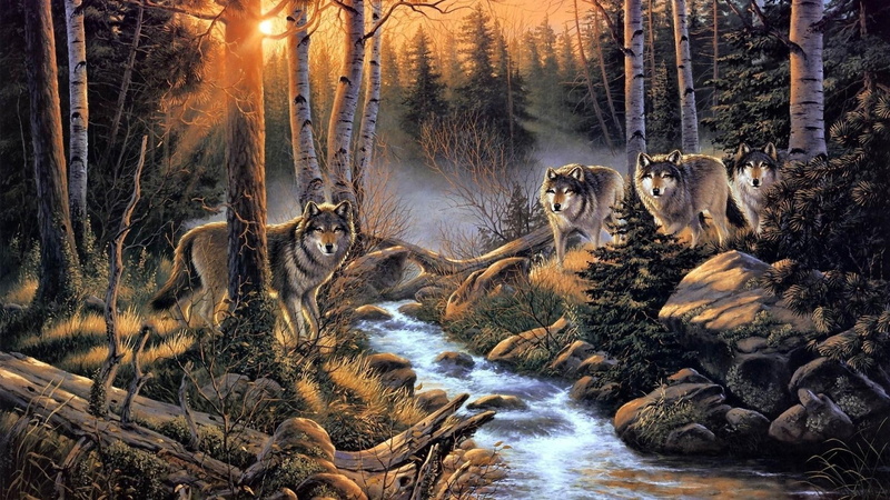 animals, wolves, river, sunset, trees, forest, stream, meeting, pack, painting, wolf, 1080P