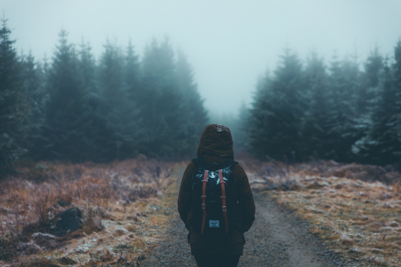 autumn, outdoors, day, camera - photographic equipment, nature, beauty In Nature, forest, hood - clothing, black, people, vacations, leisure activity, digital camera