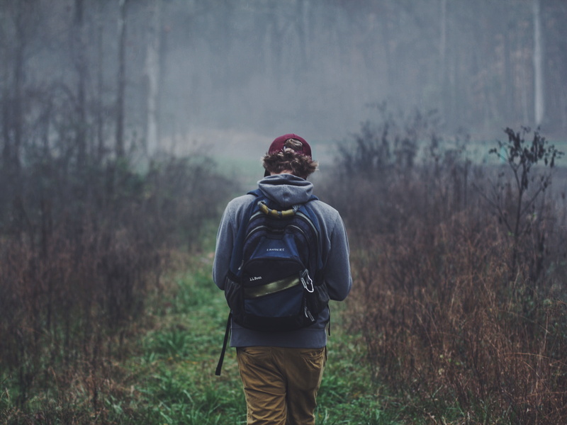 hat, clothing, outdoors, blue, nature, lifestyles, one person, woodland, field, men, black, real people, 4K, land, warm clothing, standing, people, trees