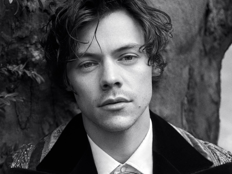 Singers, 1080P, Harry Styles, English, Face, Black and White, Singer