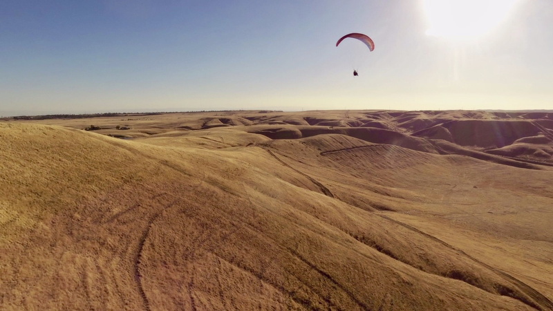 parachute, 1080P, brown, hart, summer, parachuting, extreme Sports, bakersfield, paragliding, flying, floating, park, field, sky, sport, action, nature