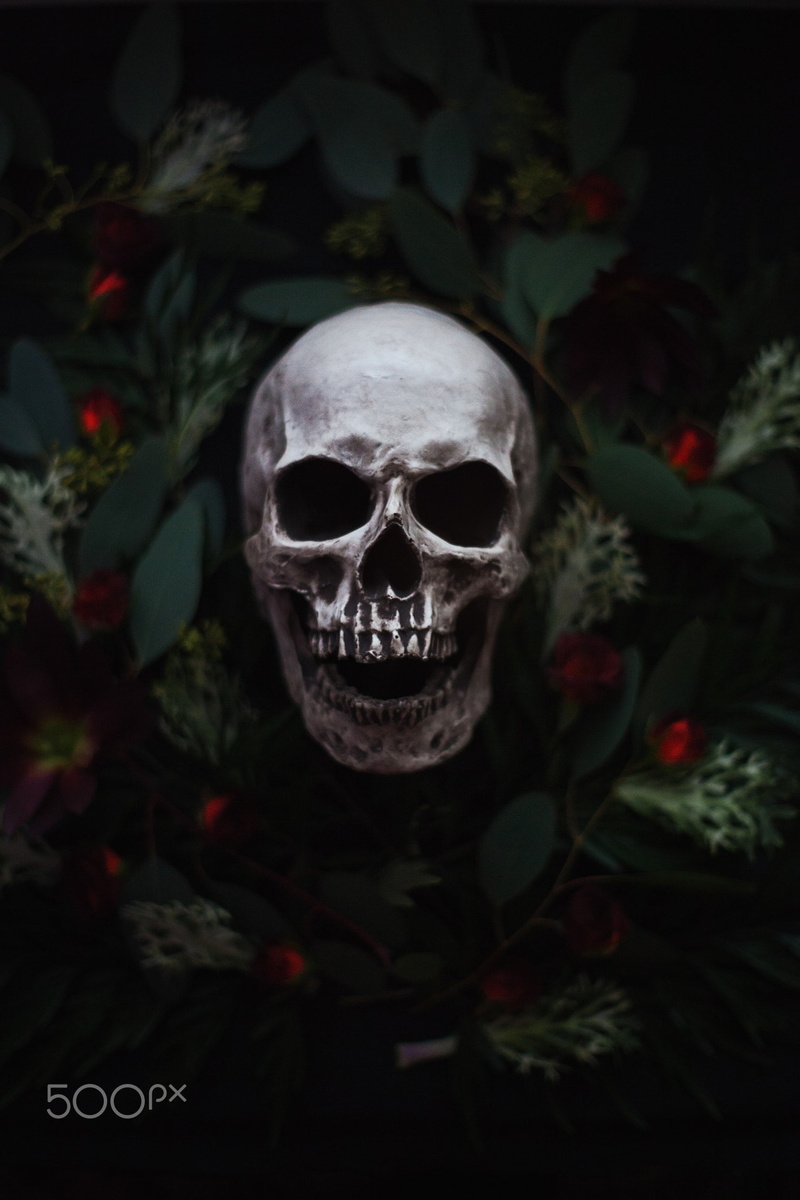 skull, 1080P, 500px, plants, Artem Phoenix, flowers