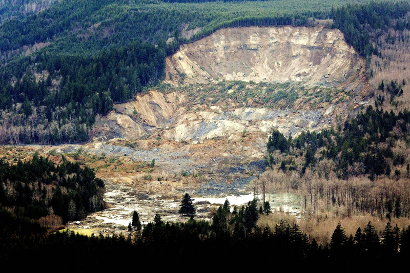 forest, landscape, natural, mudslide, 1080P, snohomish, landslide, nature, disaster