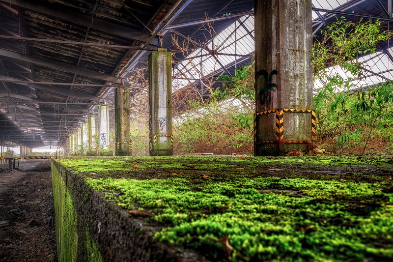 post, 5K, platform, grass, moss, growth, surface level, rural scene, beside, architecture, edge, ruin, greenhouse, atmosphere, hall, railway station, weathered