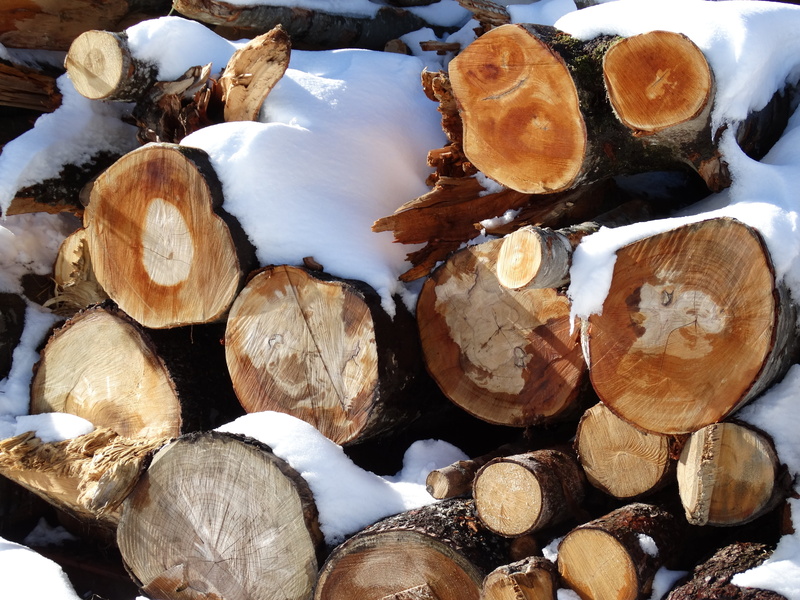 deforestation, reforestation, 5K, abundance, snow, firewood, log, large group of objects, winter depot, wood - material, fossil fuel, close-up, timber