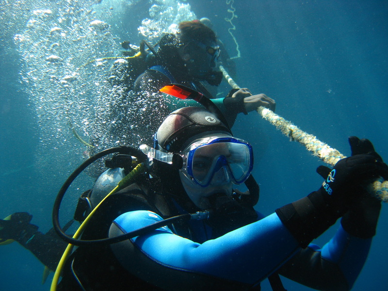 diving safari, wave, smolensk, underwater, diving, sea, octopus, diving suit, 2K, holding, diving equipment, the descent, aquatic sport, underwater diving